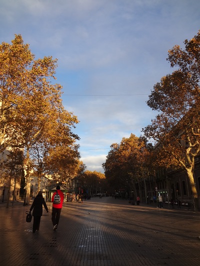 バルセロナ　早朝散歩　ランブラ通り