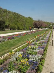 フランス　パリ　植物園