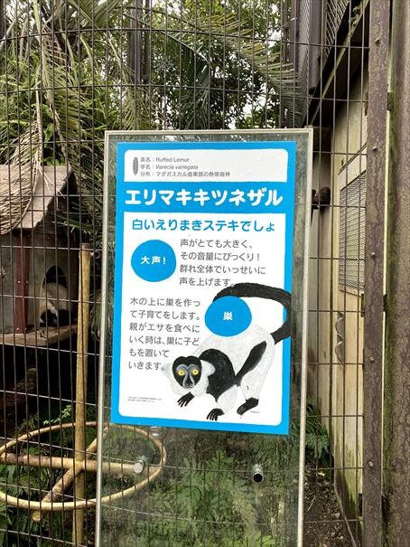 熊本　熊本市動植物園