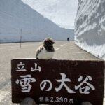 富山　雪の大谷　立山