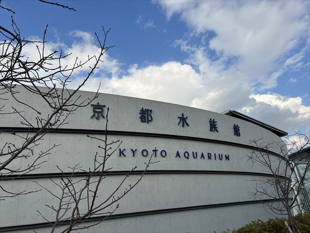 京都　レンタサイクル　京都水族館