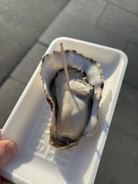 松島　牡蠣