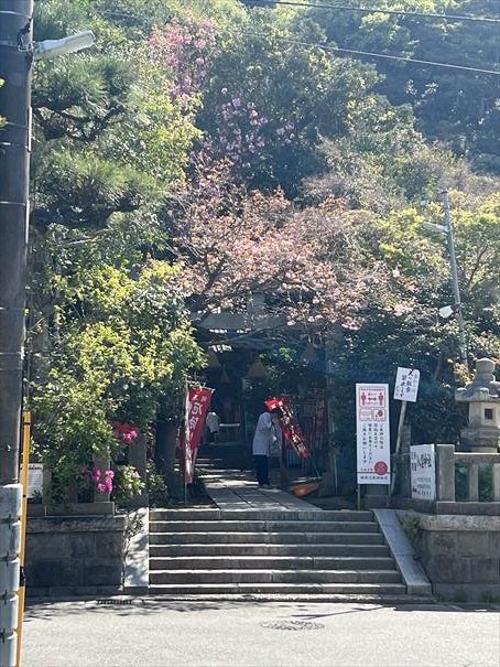 鎌倉　祇園山ハイキング　八雲神社