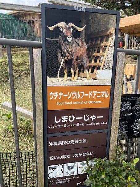 沖縄こどもの国　動物園