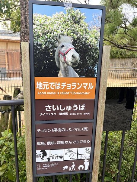 沖縄こどもの国　動物園