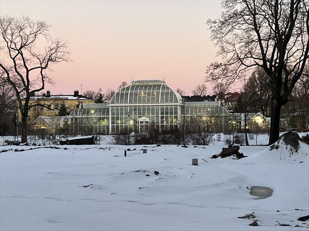 フィンランド　ヘルシンキ　カイサニエミ植物園