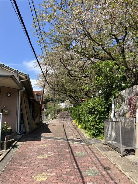 山口県　下関市　火の山公園