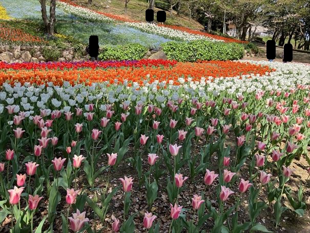 山口県　下関市　火の山公園