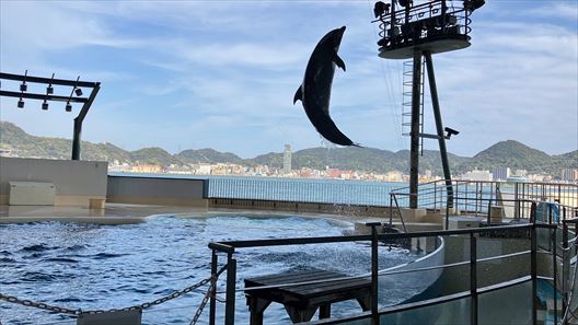 山口県　下関市　水族館　海響館