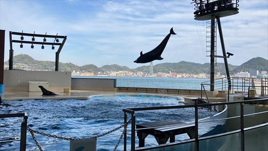 山口県　下関市　水族館　海響館