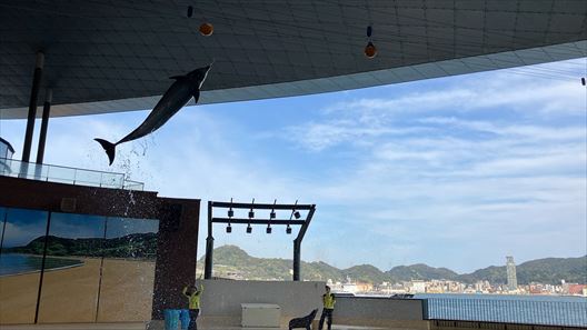 山口県　下関市　水族館　海響館