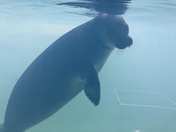 石川県　いしかわ動物園