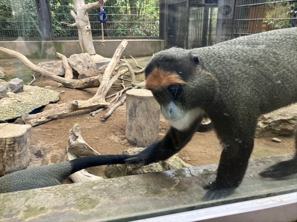 石川県　いしかわ動物園