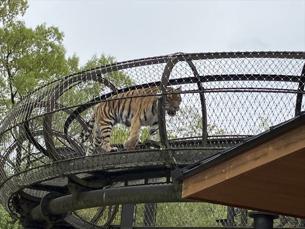 石川県　いしかわ動物園