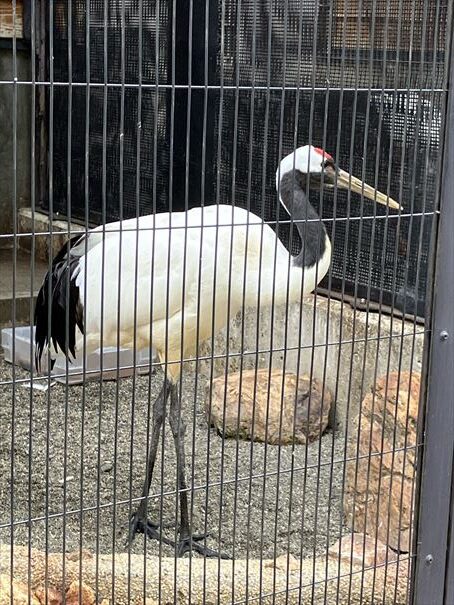 石川県　いしかわ動物園