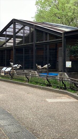 石川県　いしかわ動物園