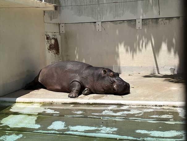 兵庫県　姫路城動物園