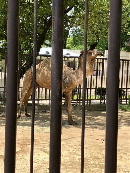 兵庫県　姫路城動物園