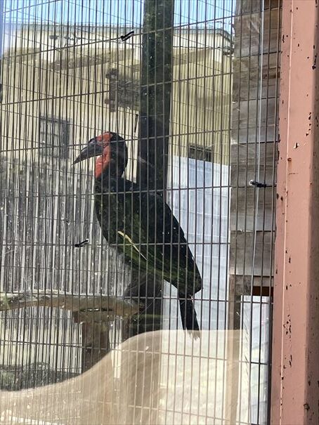 兵庫県　姫路城動物園