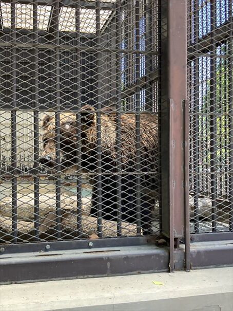 兵庫県　姫路城動物園