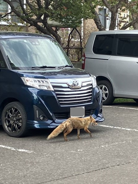 北海道　羅臼　まるみ　リブマックスシーフロント