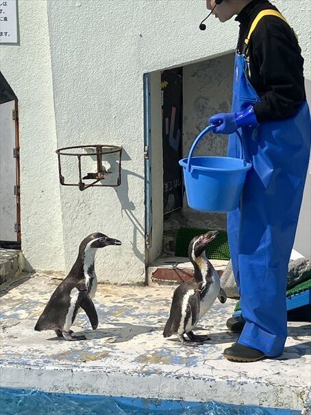 ノシャップ水族館