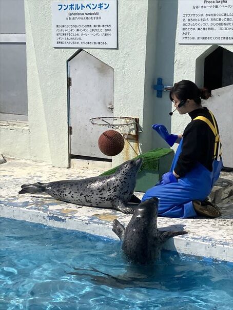 ノシャップ水族館