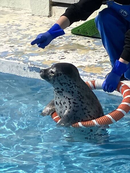 ノシャップ水族館