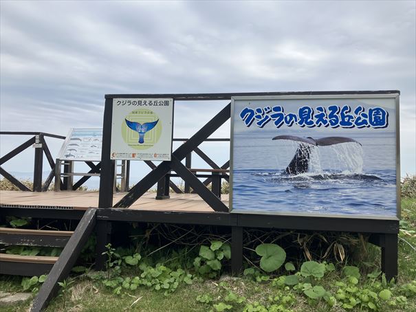 羅臼　クジラの見える丘公園