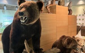 標津　ポー川史跡公園