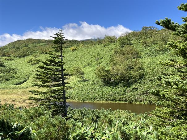 羅臼湖　ハイキング　知床