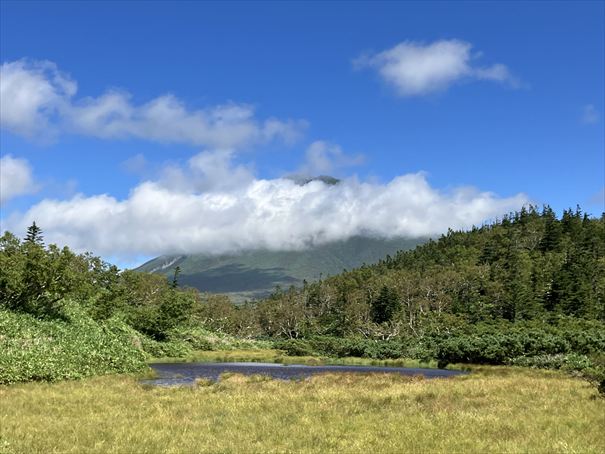 羅臼湖　ハイキング　知床
