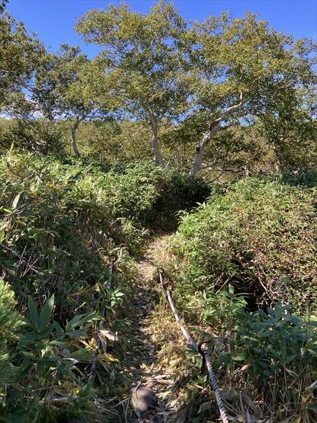 羅臼湖　ハイキング　知床