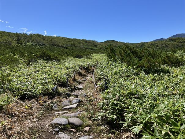羅臼湖　ハイキング　知床