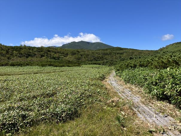 羅臼湖　ハイキング　知床