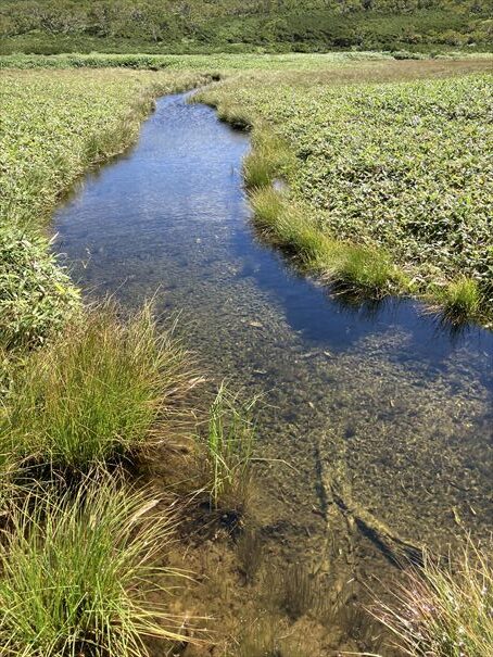 羅臼湖　ハイキング　知床