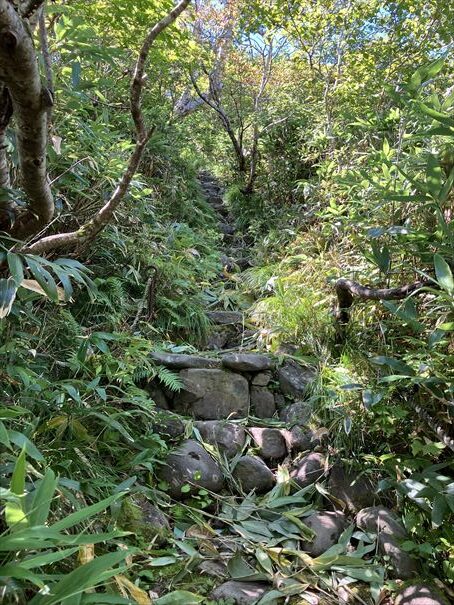 羅臼湖　ハイキング　知床