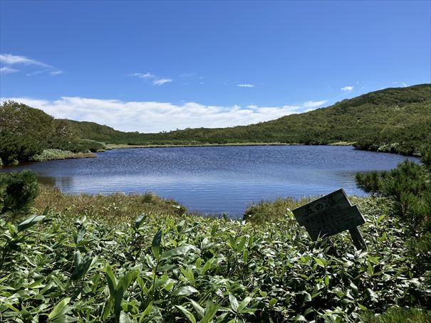 羅臼湖　ハイキング　知床