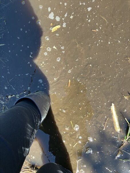 羅臼湖　ハイキング　知床