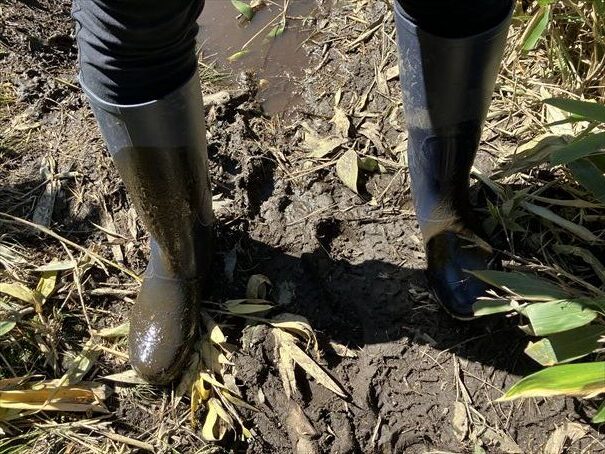 羅臼湖　ハイキング　知床