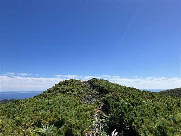 羅臼湖　ハイキング　知床