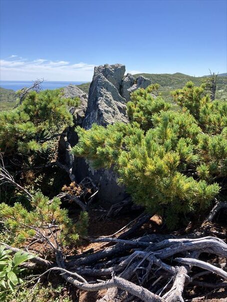 羅臼湖　ハイキング　知床