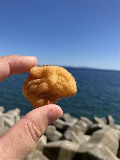 羅臼　シャチカステラ