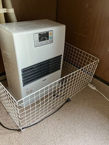 羅臼　鷲の宿　シマフクロウ