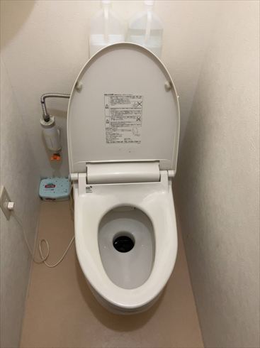 羅臼　鷲の宿　シマフクロウ