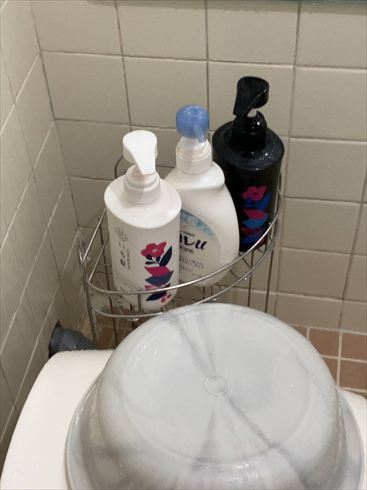 羅臼　鷲の宿　シマフクロウ