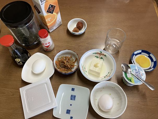 羅臼　鷲の宿　シマフクロウ