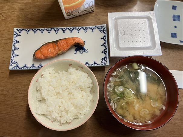 羅臼　鷲の宿　シマフクロウ