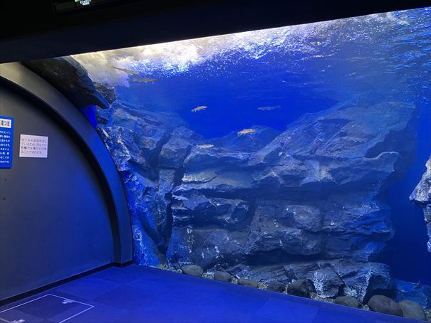 北の大地の水族館　北見