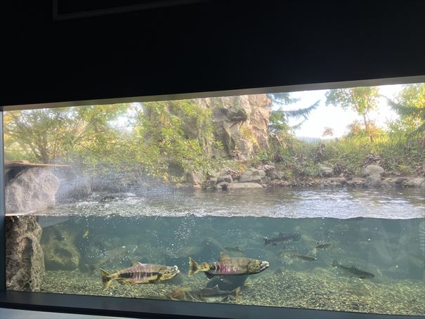 北の大地の水族館　北見